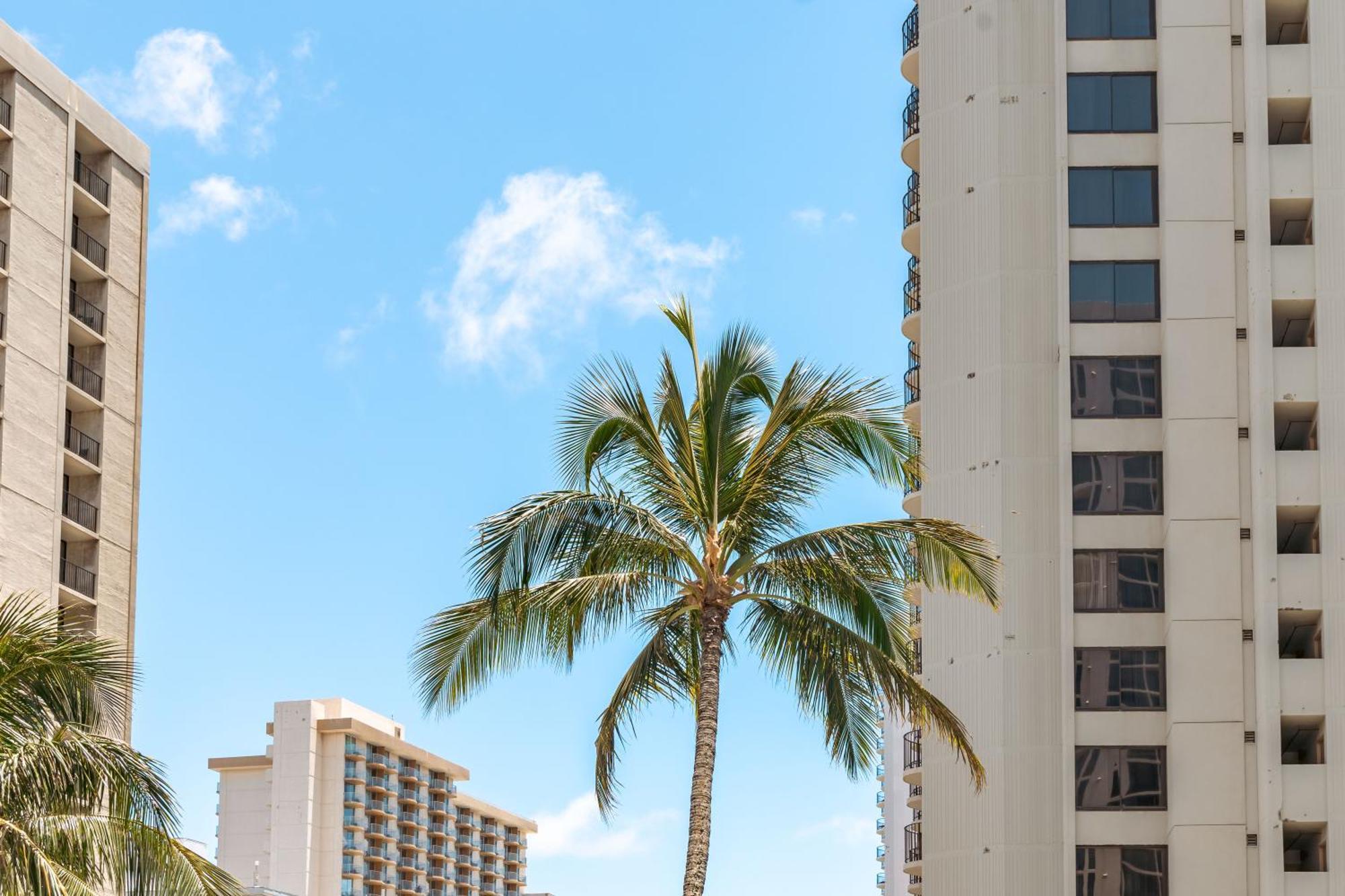 Cozy Waikiki Getaway, Stroll To Beach With Free Parking Honolulu Exterior photo